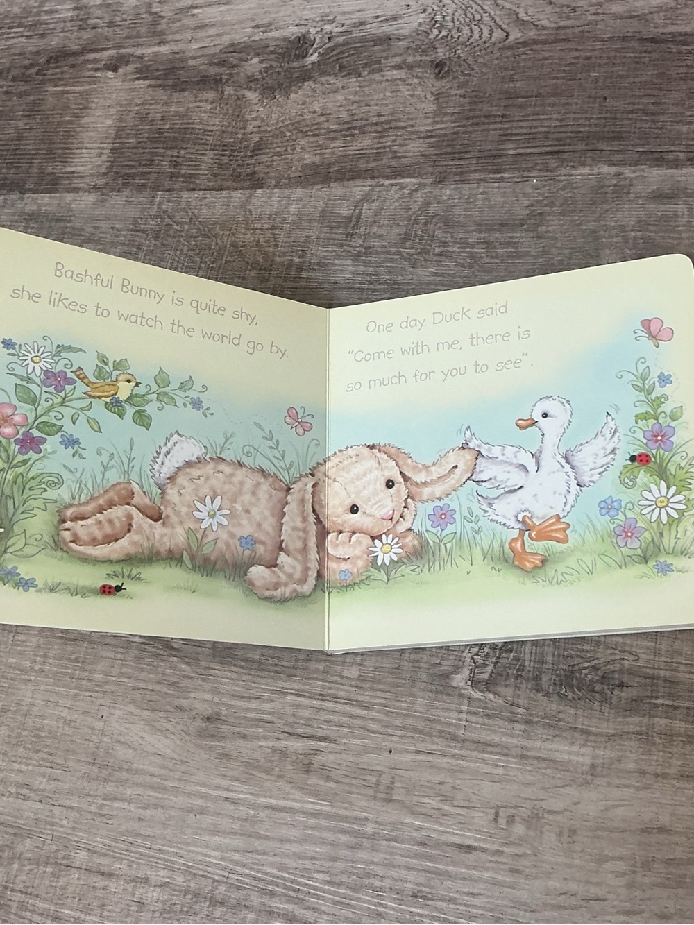 Jellycat Bashful Bunny’s Big Adventure Board Book 2008 - Picture 4 of 9